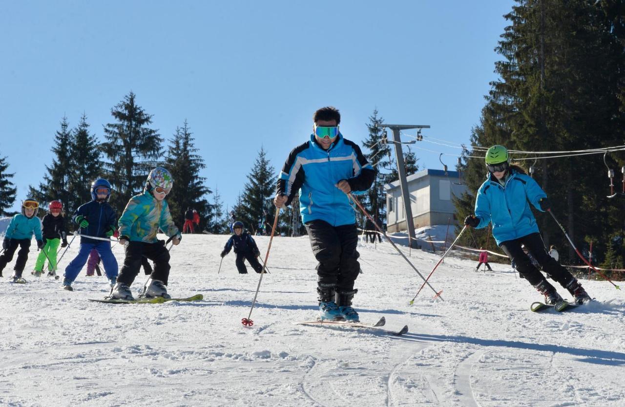 Zlatarske Brvnare Zlatar Chalets Nova Varoš 外观 照片