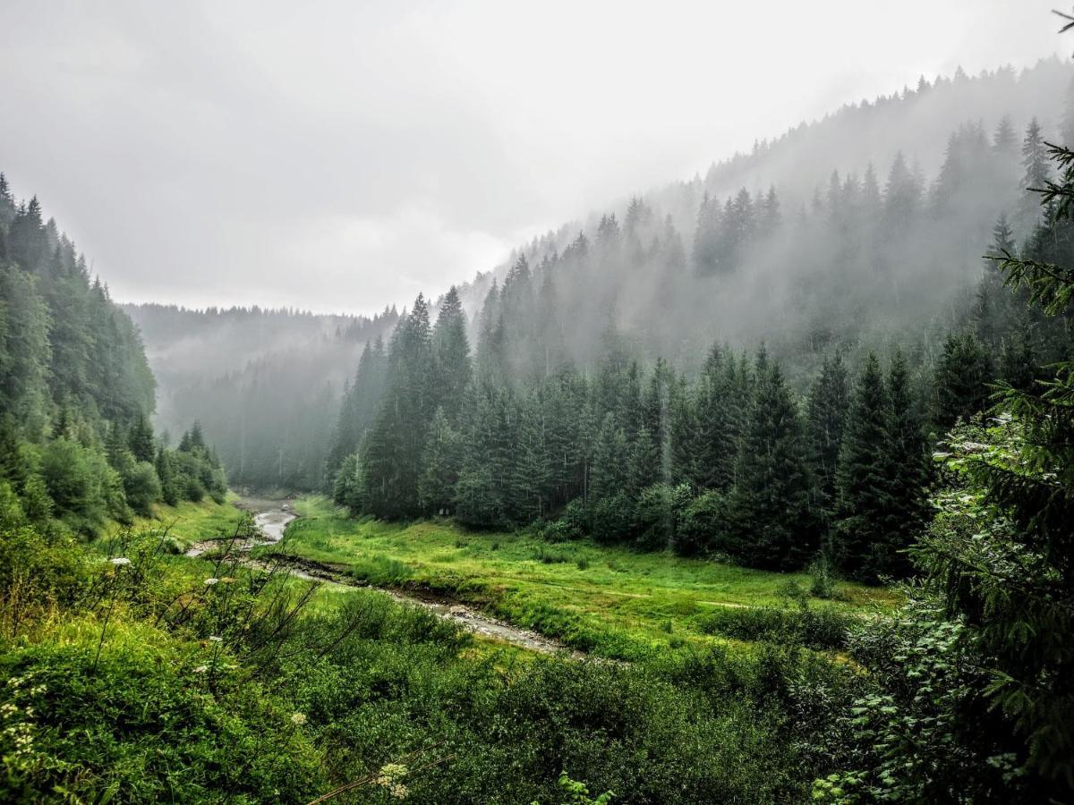 Zlatarske Brvnare Zlatar Chalets Nova Varoš 外观 照片