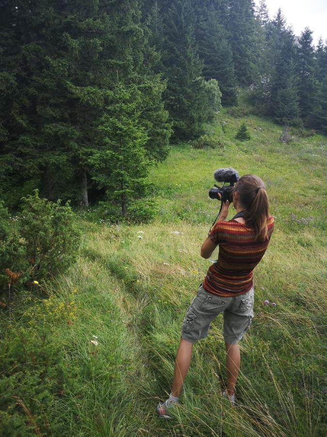 Zlatarske Brvnare Zlatar Chalets Nova Varoš 外观 照片