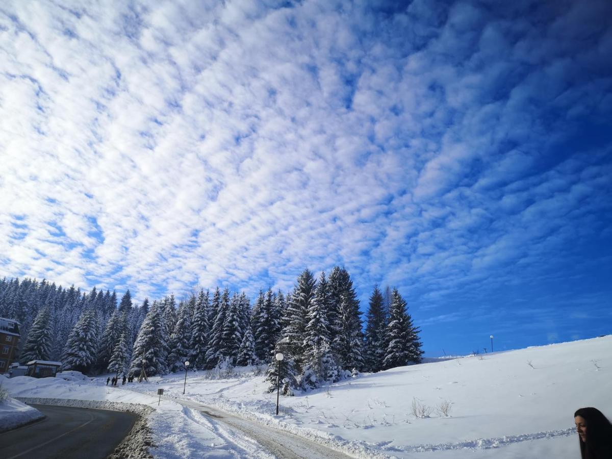 Zlatarske Brvnare Zlatar Chalets Nova Varoš 外观 照片